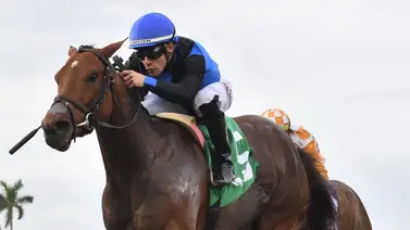 Mira quienes sustituyen hoy al venezolano Junior Alvarado en Gulfstream Park Mira quienes sustituyen hoy al venezolano Junior Alvarado en Gulfstream Park