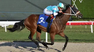 Irad Ortiz Jr no da ventajas consiguió cuatro victorias en nueve carreras Irad Ortiz Jr no da ventajas consiguió cuatro victorias en nueve carreras