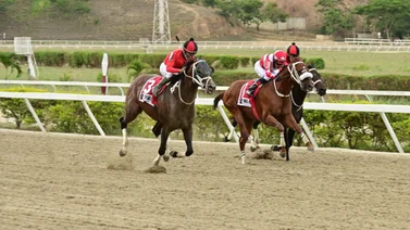 Ejemplar que regresa por lo suyo ajusta cómodo y de segunda vuelta en La Rinconada