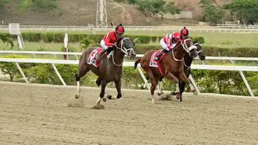 Ejemplar que regresa por lo suyo ajusta cómodo y de segunda vuelta en La Rinconada Ejemplar que regresa por lo suyo ajusta cómodo y de segunda vuelta en La Rinconada