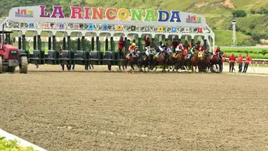 Este ejemplar que a última hora puede ser un favorito frio da por video para ganar la carrera Este ejemplar que a última hora puede ser un favorito frio da por video para ganar la carrera