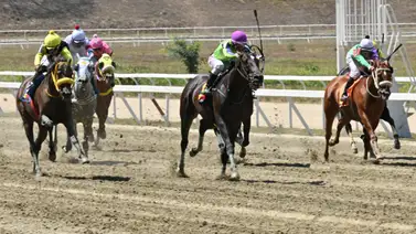 Pendiente con esta yegua porque puede tumbar los cuadros del 5y6 en La Rinconada Pendiente con esta yegua porque puede tumbar los cuadros del 5y6 en La Rinconada
