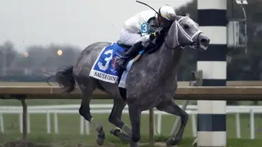El millonario Saudi Crown estará en acción el sábado en Oaklawn Park El millonario Saudi Crown estará en acción el sábado en Oaklawn Park