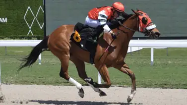 Éxito Rotundo: Emisael Jaramillo brilla con un impresionante “Back to Back” en Gulfstream Park" Éxito Rotundo: Emisael Jaramillo brilla con un impresionante “Back to Back” en Gulfstream Park"