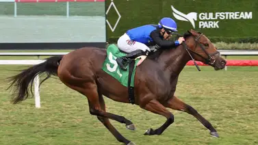 Estos serán los jinetes sustitutos de Junior Alvarado hoy en Gulfstream Park Estos serán los jinetes sustitutos de Junior Alvarado hoy en Gulfstream Park