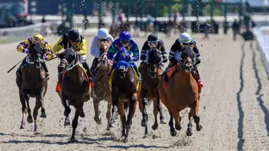 Estos son los Top tips con el Best Best para la jornada en Tampa Bay Downs 28-3-2025 Estos son los Top tips con el Best Best para la jornada en Tampa Bay Downs 28-3-2025