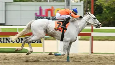 Conozcan a esta hora el dato más corrido que promete repetir con victoria el 5y6 dominical Conozcan a esta hora el dato más corrido que promete repetir con victoria el 5y6 dominical