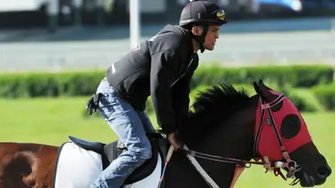 Todo lo que necesitas saber sobre la línea de Johan Aranguren para el 5y6 nacional Todo lo que necesitas saber sobre la línea de Johan Aranguren para el 5y6 nacional