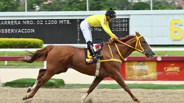 Prepárate para ganar porque este ejemplar promete ser el “dato de los vivitos” para el 5y6 Prepárate para ganar porque este ejemplar promete ser el “dato de los vivitos” para el 5y6