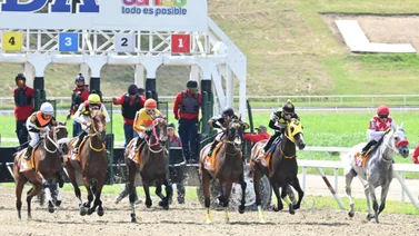 Ejemplares en carrera en la arena caraqueña.