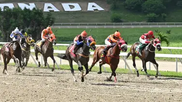 Descubre la apuesta triunfadora: Así quedó el ajuste de la gran opción de Gaceta Hípica para el 5y6 dominical Descubre la apuesta triunfadora: Así quedó el ajuste de la gran opción de Gaceta Hípica para el 5y6 dominical