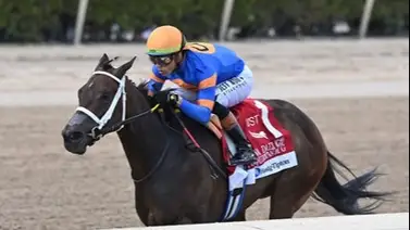 The Queen MG con Irad Ortiz Jr lista para 100 puntos The Queen MG con Irad Ortiz Jr lista para 100 puntos