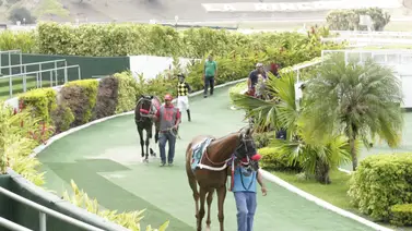 Datos de última hora para el Hipódromo Internacional La Rinconada 30-3-2025 Datos de última hora para el Hipódromo Internacional La Rinconada 30-3-2025