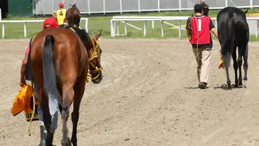 Un nuevo retiro se presenta en la cuarta válida del 5y6 nacional de La Rinconada Un nuevo retiro se presenta en la cuarta válida del 5y6 nacional de La Rinconada