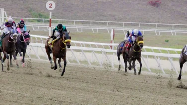 Con una apuesta segura de esta yegua logra el mejor ajuste y está lista para triunfar en el 5y6 de La Rinconada