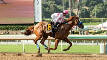 Hijo del ganador de la Breeders Cup Classic regresa por los $100.000 del San Carlos (G3) Hijo del ganador de la Breeders Cup Classic regresa por los $100.000 del San Carlos (G3)