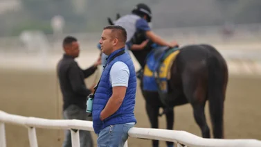 Alinea tus jugadas: Ejemplares de Dotwing Fernández que deben estar en tus combinaciones 
