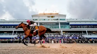 No te pierdas los datos hípicos para el Florida Derby (G1) No te pierdas los datos hípicos para el Florida Derby (G1)
