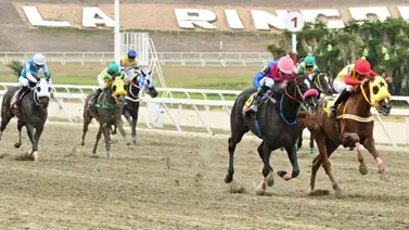 Ejemplares en carrera en la arena caraqueña. Ejemplares en carrera en la arena caraqueña.