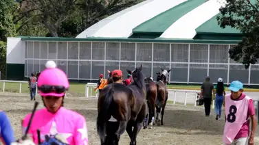 Estos son los retirados de la reunión 11 en La Rinconada 30-3-2025 Estos son los retirados de la reunión 11 en La Rinconada 30-3-2025