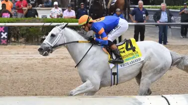 White Abarrio galopó facilmente el Ghostzapper Stakes (G3) White Abarrio galopó facilmente el Ghostzapper Stakes (G3)