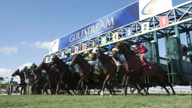 Entérate las razones por el cual Disruptor no tuvo una mejor actuación en el Florida Derby