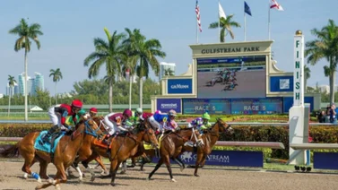 Conoce la razón por la cual suspendieron las carreras en Gulfstream Park