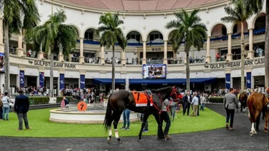 Yunta venezolana abrió con batacazo la jornada dominical en el óvalo de Gulfstream Park 