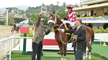 Cancelan matricula a este entrenador en La Rinconada (+resolución) Cancelan matricula a este entrenador en La Rinconada (+resolución)