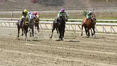 Acción del jinete en La Rinconada resulta en multa Acción del jinete en La Rinconada resulta en multa