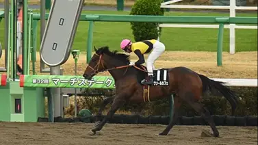 Ejemplar de colores japones tiene un puesto en el Kentucky Derby tras aplastar a sus rivales en Tokyo Ejemplar de colores japones tiene un puesto en el Kentucky Derby tras aplastar a sus rivales en Tokyo