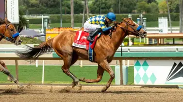 Este hijo de Justify se impone en un Stakes de $100 mil en Santa Anita Este hijo de Justify se impone en un Stakes de $100 mil en Santa Anita