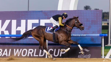 Este sábado es la Dubai World Cup de 12 millones de dólares