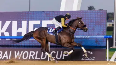 Este sábado es la Dubai World Cup de 12 millones de dólares Este sábado es la Dubai World Cup de 12 millones de dólares