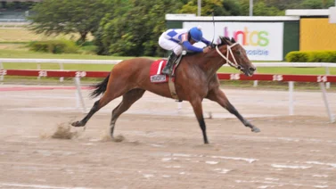 Jinete ganador de la triple corona reaparece en La Rinconada (+montas)