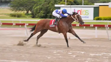 Jinete ganador de la triple corona reaparece en La Rinconada (+montas) Jinete ganador de la triple corona reaparece en La Rinconada (+montas)