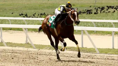 Jinete ganador de meeting reaparece en La Rinconada Jinete ganador de meeting reaparece en La Rinconada