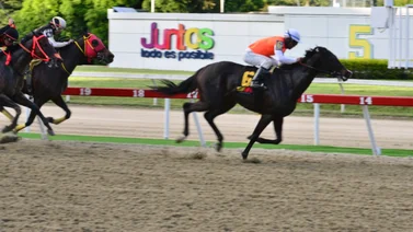 Jinete aprendiz reaparece este domingo en el majestuoso hipódromo La Rinconada