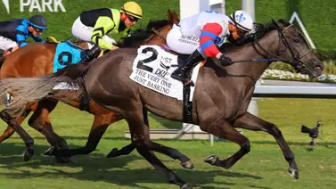 ¡Orgullo venezolano! Javier Castellano dicta cátedra con un triplete de lujo en Gulfstream Park ¡Orgullo venezolano! Javier Castellano dicta cátedra con un triplete de lujo en Gulfstream Park