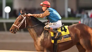 ¿Se repite la historia? El curioso dato genético que pone a Commandment en la ruta exacta de su abuelo materno ¿Se repite la historia? El curioso dato genético que pone a Commandment en la ruta exacta de su abuelo materno