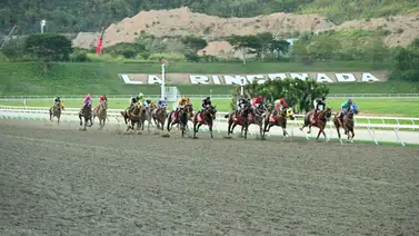 En la mira: INH abre proceso de averiguación a esta yunta en La Rinconada En la mira: INH abre proceso de averiguación a esta yunta en La Rinconada