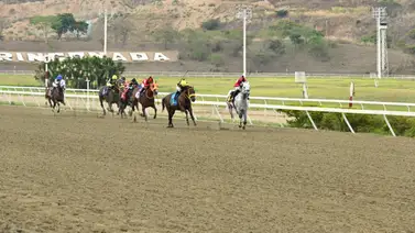 En cintura: Comisarios imponen multas a estos látigos en La Rinconada En cintura: Comisarios imponen multas a estos látigos en La Rinconada