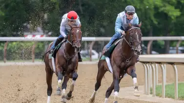 ¡Hay fecha! Sovereignty Caballo del Año 2025 tiene lugar para su debut en la temporada ¡Hay fecha! Sovereignty Caballo del Año 2025 tiene lugar para su debut en la temporada