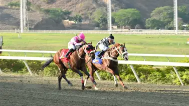 Sorpresa en La Rinconada: Los detalles que explican el fracaso del favorito en el 5y6 nacional Sorpresa en La Rinconada: Los detalles que explican el fracaso del favorito en el 5y6 nacional