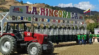 Puerta cerrada al éxito: El número siete es un extraño en el recinto de ganadores de La Rinconada Puerta cerrada al éxito: El número siete es un extraño en el recinto de ganadores de La Rinconada