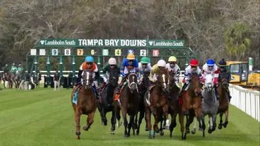 Juan Carlos Ávila gana tres y se mantiene líder del meeting en Tampa Bay Downs Juan Carlos Ávila gana tres y se mantiene líder del meeting en Tampa Bay Downs