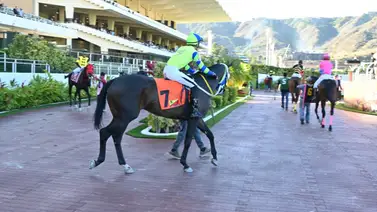 Duelo de potrancas en Coche: Ocho aspirantes por la gloria del Clásico Ana María Freudman (GIII) Duelo de potrancas en Coche: Ocho aspirantes por la gloria del Clásico Ana María Freudman (GIII)