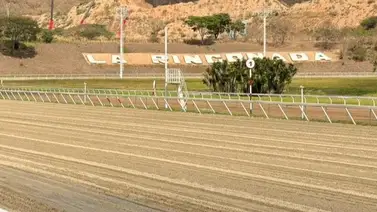 Expectativa en Coche ante la reaparición de dos profesionales para la undécima reunión Expectativa en Coche ante la reaparición de dos profesionales para la undécima reunión
