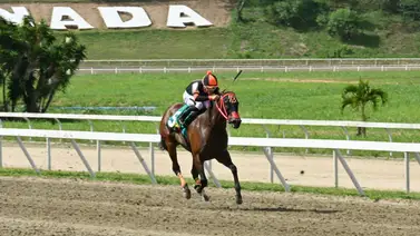 ¿Mantendrá su corona? La mejor potra del 2025 regresa este domingo a La Rinconada ¿Mantendrá su corona? La mejor potra del 2025 regresa este domingo a La Rinconada