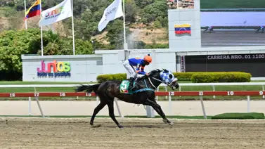 Fin de la inactividad: Un potencial ganador del 5y6 retoma la competencia tras un año fuera de la pista Fin de la inactividad: Un potencial ganador del 5y6 retoma la competencia tras un año fuera de la pista
